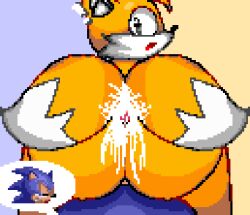 big_ass big_butt black_eyes blue_body classic_sonic classic_sonic_(universe) classic_tails cum cum_in_ass cum_in_tail exclamation_point gay looking_at_viewer looking_back looking_surprised miles_prower miles_tails_prower open_mouth penis pixel_(artwork) pixel_art shiny_ass shiny_butt smirking sonic_(series) sonic_1 sonic_the_hedgehog sonic_the_hedgehog_(series) sonic_the_hedgehog_2 surprised_expression tails tails_the_fox yellow_ass yellow_body