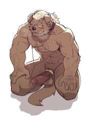 abs accessory ahoge anthro barazoku beard biceps big_penis blush bodily_fluids body_hair body_scars brown_body brown_fur canid canine canis chest_hair cock_ring collar curtis_wuedti domestic_dog ear_piercing ear_ring facial_hair facial_piercing facial_scar floppy_ears fur genitals hair hi_res humanoid_genitalia humanoid_hands humanoid_penis jewelry kneeling kneeling_on_ground male male_only mammal muscular muscular_anthro muscular_male muscular_sub nipple_fetish nipple_piercing nipple_play nipple_ring nipples nose_piercing nose_ring nude pecs penis penis_accessory penis_jewelry piercing pink_penis pubes ring_piercing scar simple_background solo sounding_rod submissive submissive_anthro submissive_male sweat sweatdrop tied_hair urethral vein veiny_hands veiny_muscles veiny_penis white_background white_hair