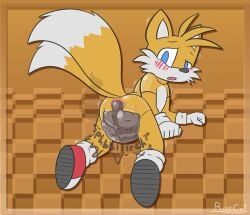 messy ritzcat scat sonic_(series) stinky tails