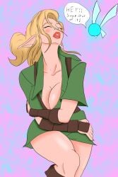 cleavage female genderswap_(mtf) huge_breasts link rule_63 rule_63 sampleguy starwind16 the_legend_of_zelda thick_thighs wide_hips