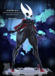absurd_res anthro arthropod ass big_butt biped black_body black_eyes blue_nipples breasts cloak cloak_only clothing curvy_figure dialogue emmet_twunks english_text female footwear front_view genitals hi_res high_heels hollow_knight_(franchise) horn hornet_(hollow_knight) nipples non-mammal_breasts non-mammal_nipples red_cloak red_clothing shoes small_waist solo standing team_cherry text text_box thick_thighs vulva watermark wide_hips