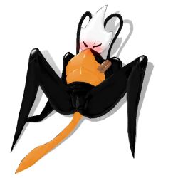 shakra (hollow knight) from hollow knight by artist request