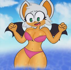 Sonic (Series) Rule 34 Image
