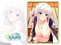 breasts choco_chip kagami_tsukimi nipples open_clothes open_shirt red_eyes sara_sara_sasara wallpaper white_hair