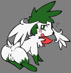 anus back_view blush color exed_eyes female female_only feral fur nude pokemon pokemon_(species) roy_mccloud shaymin solo tagme vulva