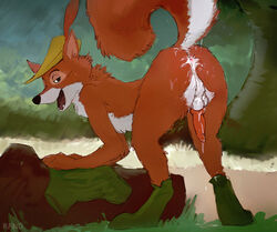 anthro cum disney gay male male_only penis rand_(furry_artist) robin_hood_(character) robin_hood_(disney) solo tagme yaoi