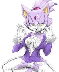 anthro blaze_the_cat breasts cat clothes cum cum_on_breasts cum_on_face facial feline female female_only fur l1zardman mammal no_bra no_panties solo sonic_(series) torn_clothes