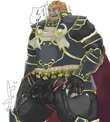 boner erection ganondorf ganondorf_(twilight_princess) male male_only solo solo_male srmamorimori tagme the_legend_of_zelda twilight_princess