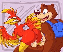 avian backpack banjo banjo-kazooie banjo_(banjo-kazooie) bear bird cerealharem female furry kazooie male mammal musical_instrument sex straight