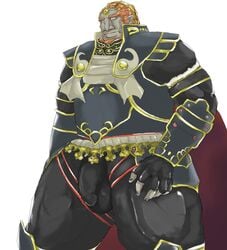 bulge flaccid ganondorf ganondorf_(twilight_princess) male male_only solo solo_male srmamorimori tagme the_legend_of_zelda twilight_princess