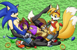 anthro anthrofied blue_fur fur furry furry_tail gay hedgehog houkuko mammal multiple_tails sex sonic_(series) sonic_the_hedgehog tail tails