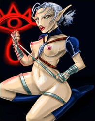 evanight impa_(ocarina_of_time) ocarina_of_time sheikah the_legend_of_zelda