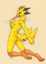 anthro anthrofied avian beak breasts female female_focus female_only fit fit_female furry furry_only iggi legendary_pokemon nintendo orange_beak pokémon_(species) pokemon pokemon_(species) red_eyes seductive seductive_look simple_background small_breasts tagme tail yellow_feathers zapdos