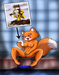 anthro breasts brutal_paws_of_fury female female_only fox foxy_roxy front_view holding_photo masturbation ninjachip nude sitting solo spread_legs tagme