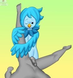 2d anal anal_sex anon avian beak bird blue_feathers filler_shmazman grey_skin male/male martlet_(undertale_yellow) penetration penis penis_out point_of_view pov rule_63 sex taker_pov undertale undertale_(series) undertale_fanfiction undertale_yellow