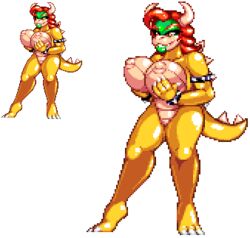 bowser from mario (series) by casetermk