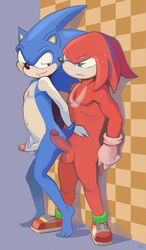 2011 2boys anthro balls battle_angel blue_fur color erection furry furry_only gay hedgehog knuckles_the_echidna male male_only mammal multiple_males muscular_male nude penis red_fur sega sonic_(series) sonic_3 sonic_team sonic_the_hedgehog sonic_the_hedgehog_(series) sonic_the_hedgehog_3 tagme yaoi