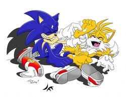 fur furry furry_only furry_tail hedgehog male multiple_males multiple_tails sonic_(series) sonic_the_hedgehog sonic_the_hedgehog_(series) tagme tail tails tracy_yardley yaoi