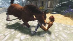 3d anthro discombobulation equine feline feral horse khajiit skyrim socks the_elder_scrolls video_games zoophilia