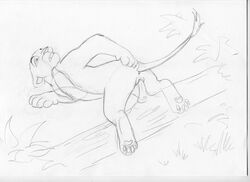 anus disney feline female female_feral female_only feral fur lion lioness lynx_girl_(artist) mammal monochrome nala pussy sketch solo the_lion_king