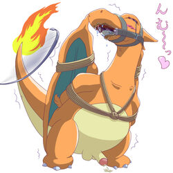 blush bound charizard color cum feral fire front_view gag gagged male male_only nintendo penis pokemon pokemon_(species) rope solo tagme tail tail_fire testicles whip