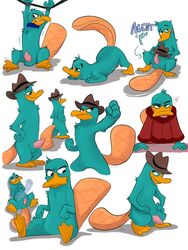 2017 anthro balls bath_robe blush bondage bound clothed clothing collar digital_media_(artwork) erection foxudders hat heart looking_at_viewer male male_only mammal monotreme nude penis perry_the_platypus phineas_and_ferb platypus solo tongue white_background