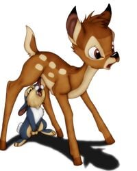 bambi_(character) bambi_(film) cub disney feral gay male_only penis tagme testicles thumper