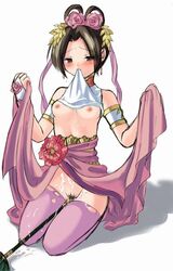 diao_chan dynasty_warriors female female_only human solo tagme