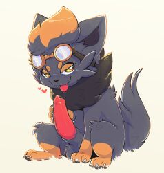 balls feral fur furry gabileafy generation_5_pokemon genitals grey_body grey_fur hi_res leg_markings looking_at_viewer male male_zorua markings nintendo orange_body orange_fur penis pokemon pokemon_(species) simple_background sitting solo tail tongue tongue_out yellow_eyes zorua