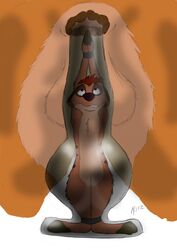 2012 anus disney feline feral king lion male_only royalty simba the_lion_king timon