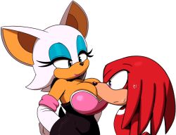 knuckles the echidna from sega by blue archer (artist)