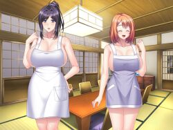 2girls before_sex breasts enormous_breasts female female_only game_cg gigantic_breasts glazed_sliding_door huge_breasts kyonyuu_shokudou_harami_teishoku_~ore_dake_no_ura_menu!?~ massive_breasts mizunagi_kumiko mizunagi_moeno mother mother_and_daughter naked naked_apron naked_female nude nude_female nudity nudity_female nudity_girl orange-haired_female orange_hair schoolgirl shoji short_hair short_hair_female suzuki_falco talking television tougenkyo_(company) zaisu