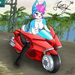Jade Wolfhound (Joey Wolf) Rule 34 Image