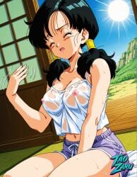 videl from dragon ball by taozaru