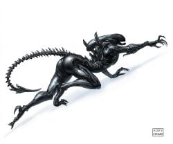 1girls 2d alien alien_(franchise) alien_girl ass ass_focus claws crawling exoskeleton female female_focus female_only female_xenomorph femomorph kory_cromie long_tail on_all_fours open_mouth solo solo_female spines tail watermark xenomorph xenomorph_tail