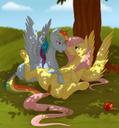 2011 apple blush cartoonlion couple dappled_light equine female fluttershy_(mlp) friendship_is_magic fruit hasbro horse my_little_pony pegasus pony rainbow_dash_(mlp) spreading straight_hair tree wings wood yuri