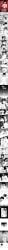 2d (Artwork) Rule 34 Image