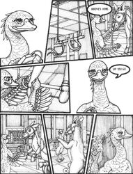 2010 anatomically_correct anthro avian balls bondage bound comic criss-crossbreeding dildo_gag donkey equine experiment faithry female feral forced furry furry_only hooves horsecock laboratory male muzzle nude penis swan testicles wrist_cuff