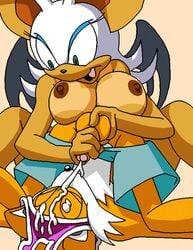 rouge the bat from sega by dboy