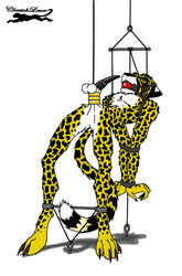 cheetah cheetahlover cock_and_ball_torture demitri tagme