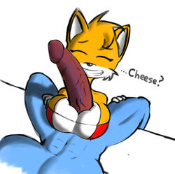 tails the fox from sonic (series) by norithics