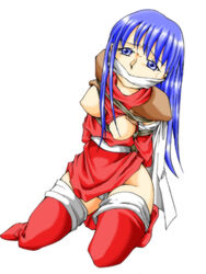 atelier_hachifukuan caeda_(fire_emblem) fire_emblem fire_emblem:_mystery_of_the_emblem fire_emblem:_shadow_dragon_and_the_blade_of_light hachikumo tagme