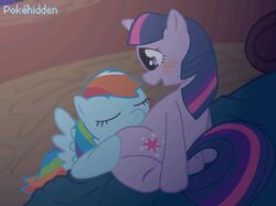 animal animated feral friendship_is_magic my_little_pony pokehidden rainbow_dash_(mlp) smooth_skin twilight_sparkle_(mlp)