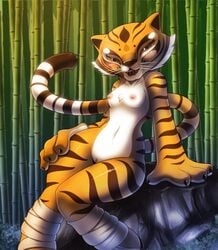 anthro kung_fu_panda master_tigress nancher tagme