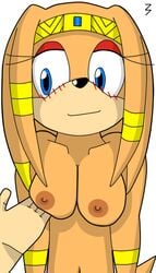 2d 3pac anthro blush breasts echidna female fur furry mobian mobian_(species) mobian_echidna nipples nude sega sonic_(series) sonic_adventure sonic_the_hedgehog_(series) tagme tikal_the_echidna