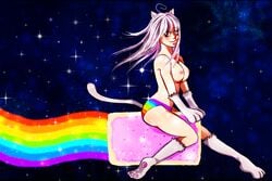 breasts female meme nyan_cat nyan_cat:_lost_in_space pop-tarts silly_cats tagme toaster_pastry