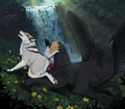 animal_genitalia anus aroused ass avian beak bird black_body bodily_fluids bundle canid canine canis claws cookie cum domestic_dog duo erection fantasy female feral feral_on_feral feral_penetrated feral_penetrating feral_penetrating_feral flower food forest fox genital_fluids genitals gryphon hi_res hole_(anatomy) hybrid knot knotting_position male male/female mammal msdeadsoul mythological_avian mythological_creature mythology natural nature penetration penis plant sex solana_(valiberite) tail tree vaginal_penetration valiberite vulva waterfall wings wolf