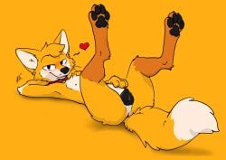 absurd_res ambiguous_gender animal_genitalia animal_vulva anthro anus aroused barely_visible_genitalia barely_visible_vulva blush body_blush canid canine canine_genitalia canine_vulva canis chris_(raposanaranja) collar cookie feet_up female feral flirting_look food fox fur genitals heart_symbol hi_res looking_at_viewer lying male mammal markings nude on_back orange_body paws presenting presenting_vulva raised_paw raposanaranja simple_background smile solo tail tail_anus tan_body tan_fur teasing tongue tongue_out vulva whiskers