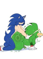 jet the hawk from sega by susknuckles