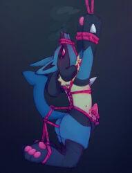 2024 anthro arms_tied bdsm bent_legs blue_body bondage bound chest_spike erection generation_4_pokemon genital_rope genitals grey_background hands_tied hi_res kitdoll legs_tied looking_at_viewer lucario male male_anthro muzzle_(object) muzzled nintendo nude_anthro nude_male pawpads penis penis_rope pokemon pokemon_(species) restraints rope rope_around_penis rope_bondage rope_harness rope_muzzle simple_background solo spikes spikes_(anatomy) suspension suspension_bondage